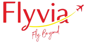 fly via web logo