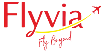 fly via web logo