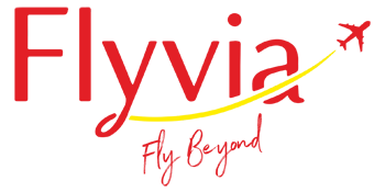 fly via web logo